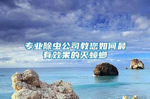 專業(yè)除蟲(chóng)公司教您如何最有效果的滅蟑螂