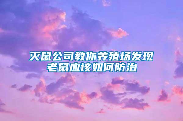 滅鼠公司教你養(yǎng)殖場發(fā)現老鼠應該如何防治