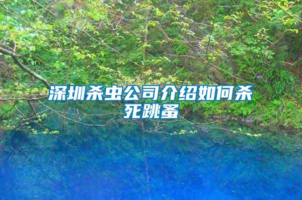 深圳殺蟲公司介紹如何殺死跳蚤