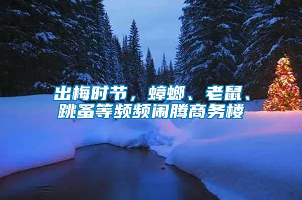 出梅時節(jié)，蟑螂、老鼠、跳蚤等頻頻鬧騰商務樓