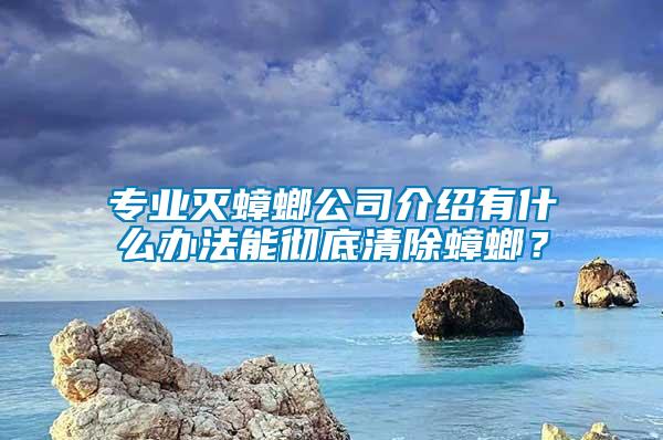 專業(yè)滅蟑螂公司介紹有什么辦法能徹底清除蟑螂？