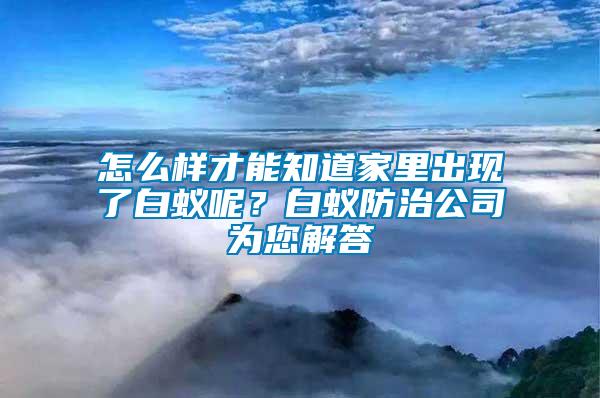 怎么樣才能知道家里出現(xiàn)了白蟻呢？白蟻防治公司為您解答