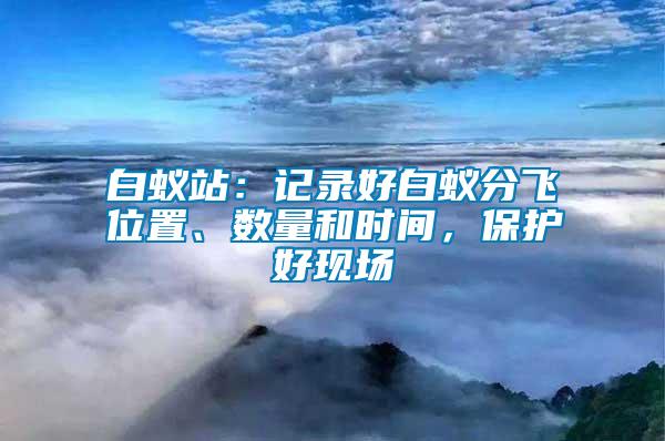 白蟻站：記錄好白蟻分飛位置、數(shù)量和時間，保護好現(xiàn)場