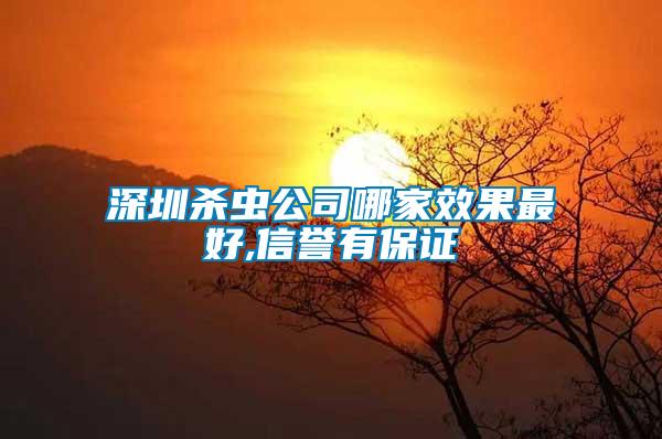 深圳殺蟲公司哪家效果最好,信譽有保證