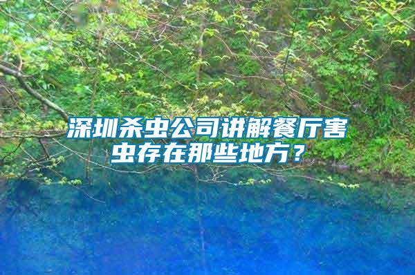 深圳殺蟲公司講解餐廳害蟲存在那些地方？