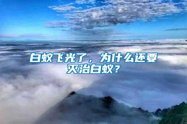 白蟻飛光了，為什么還要滅治白蟻？