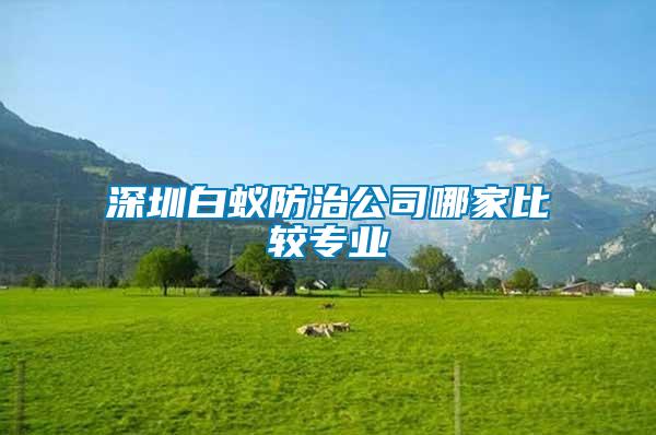 深圳白蟻防治公司哪家比較專業(yè)