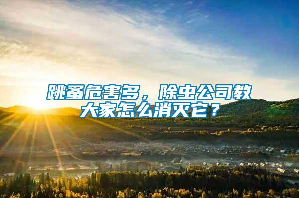 跳蚤危害多，除蟲公司教大家怎么消滅它？