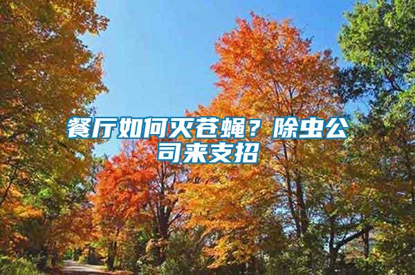 餐廳如何滅蒼蠅？除蟲公司來支招