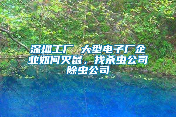 深圳工廠 大型電子廠企業(yè)如何滅鼠，找殺蟲公司除蟲公司