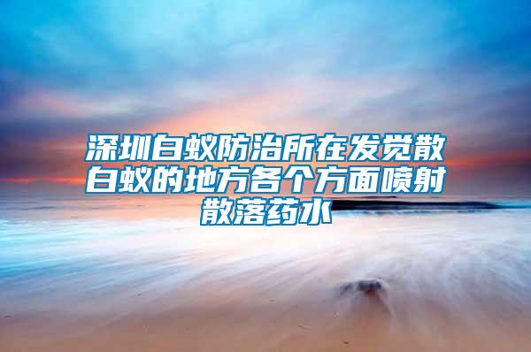 深圳白蟻防治所在發(fā)覺散白蟻的地方各個方面噴射散落藥水