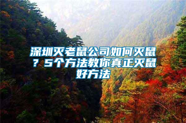 深圳滅老鼠公司如何滅鼠？5個(gè)方法教你真正滅鼠好方法