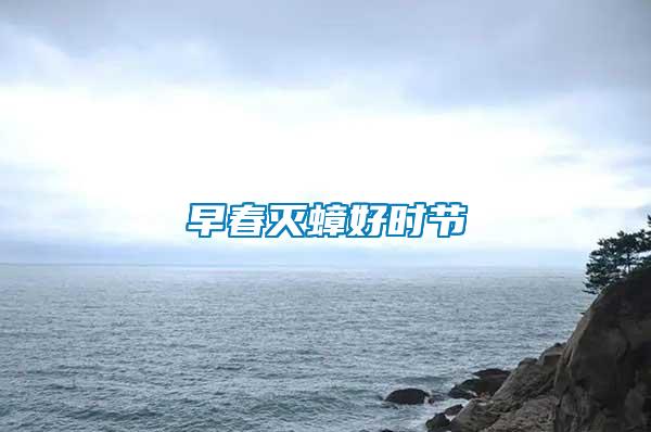 早春滅蟑好時(shí)節(jié)