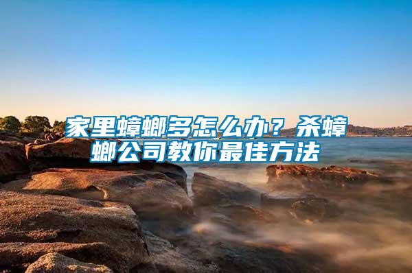 家里蟑螂多怎么辦？殺蟑螂公司教你最佳方法