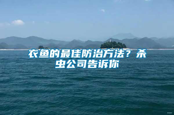 衣魚的最佳防治方法？殺蟲公司告訴你