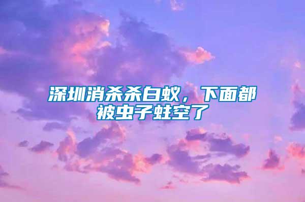 深圳消殺殺白蟻，下面都被蟲子蛀空了