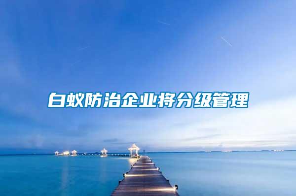 白蟻防治企業(yè)將分級管理