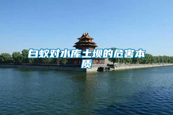 白蟻對水庫土壩的危害本質