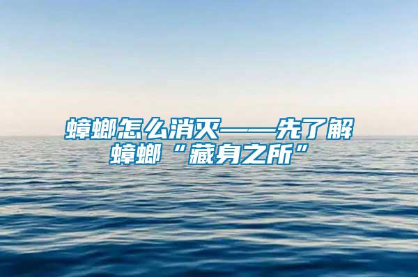 蟑螂怎么消滅——先了解蟑螂“藏身之所”