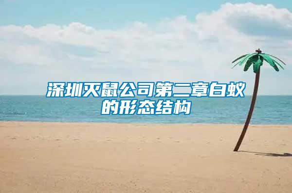 深圳滅鼠公司第二章白蟻的形態(tài)結構