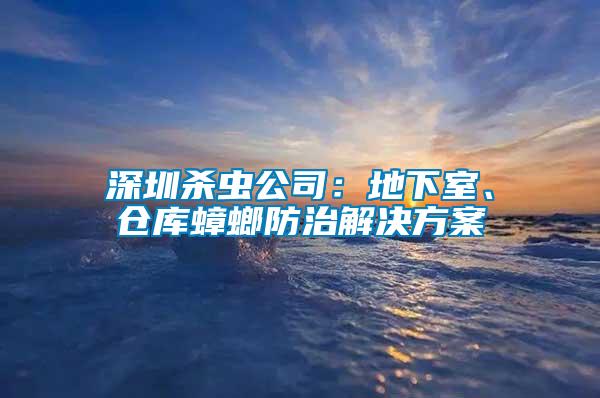 深圳殺蟲公司：地下室、倉庫蟑螂防治解決方案