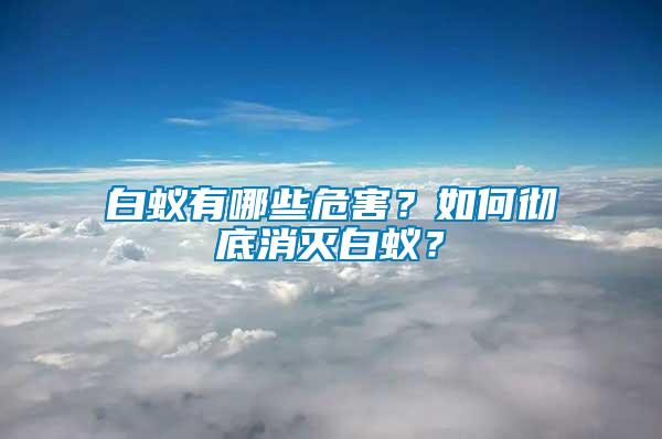 白蟻有哪些危害？如何徹底消滅白蟻？