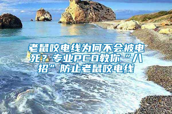 老鼠咬電線為何不會被電死？專業(yè)PCO教你“八招”防止老鼠咬電線