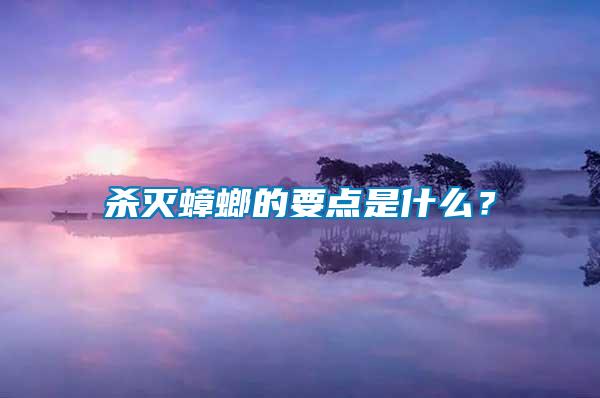 殺滅蟑螂的要點(diǎn)是什么？