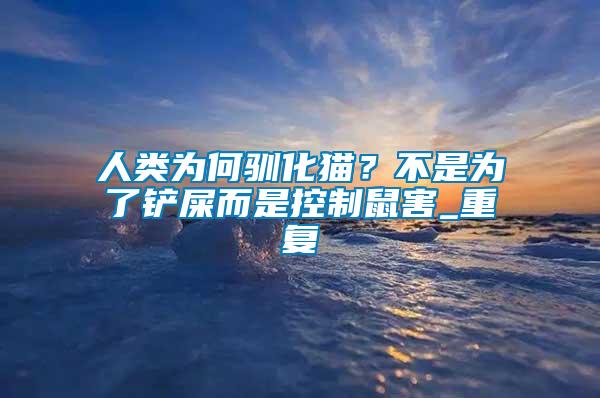 人類為何馴化貓？不是為了鏟屎而是控制鼠害_重復(fù)