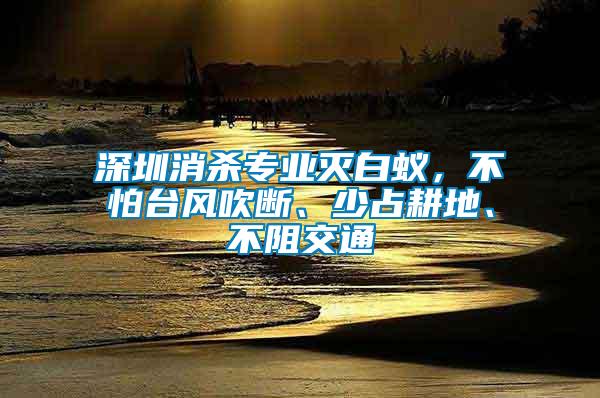 深圳消殺專業(yè)滅白蟻，不怕臺(tái)風(fēng)吹斷、少占耕地、不阻交通