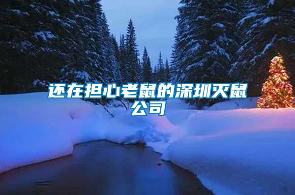 還在擔心老鼠的深圳滅鼠公司