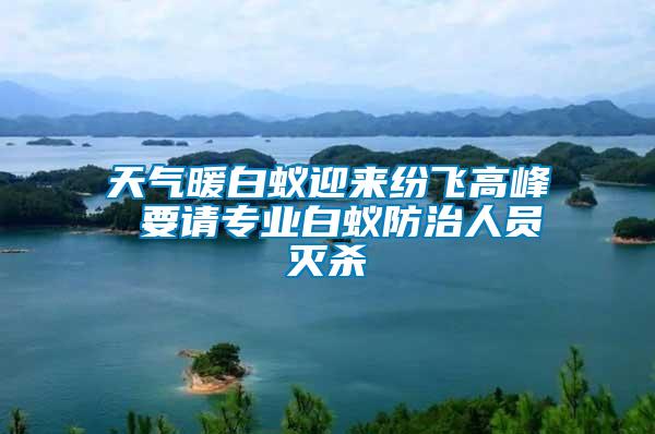 天氣暖白蟻迎來(lái)紛飛高峰 要請(qǐng)專(zhuān)業(yè)白蟻防治人員滅殺