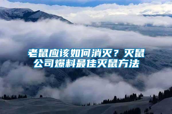 老鼠應(yīng)該如何消滅？滅鼠公司爆料最佳滅鼠方法