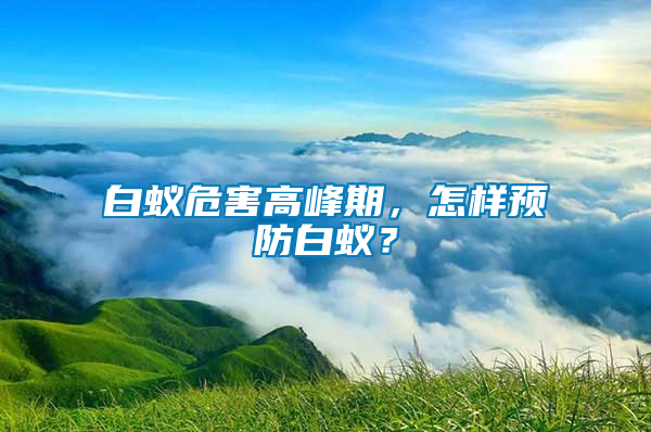 白蟻危害高峰期，怎樣預(yù)防白蟻？