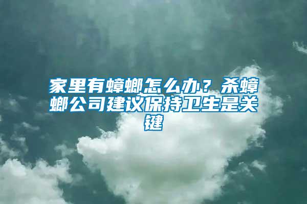 家里有蟑螂怎么辦？殺蟑螂公司建議保持衛(wèi)生是關(guān)鍵