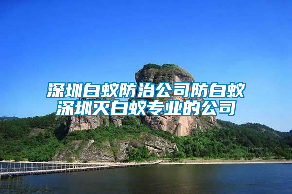 深圳白蟻防治公司防白蟻深圳滅白蟻專業(yè)的公司