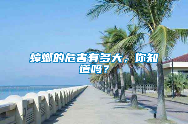 蟑螂的危害有多大，你知道嗎？