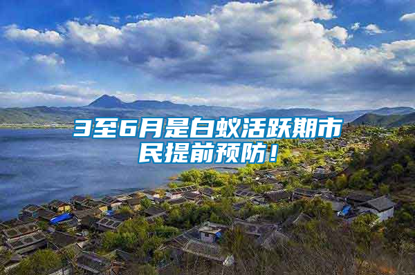 3至6月是白蟻活躍期市民提前預(yù)防！