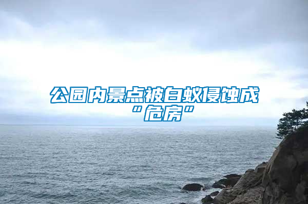 公園內(nèi)景點(diǎn)被白蟻侵蝕成“危房”