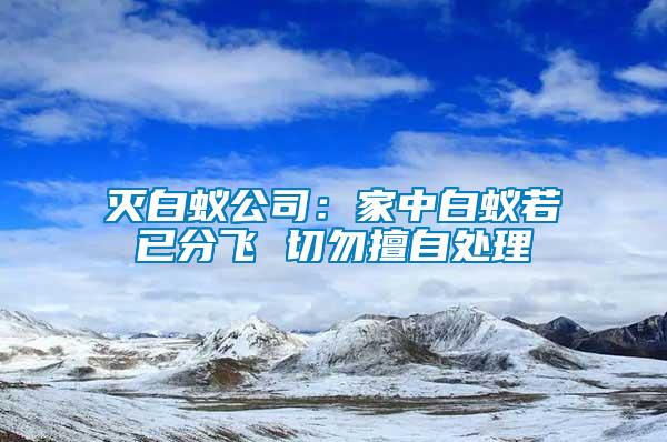 滅白蟻公司：家中白蟻若已分飛 切勿擅自處理