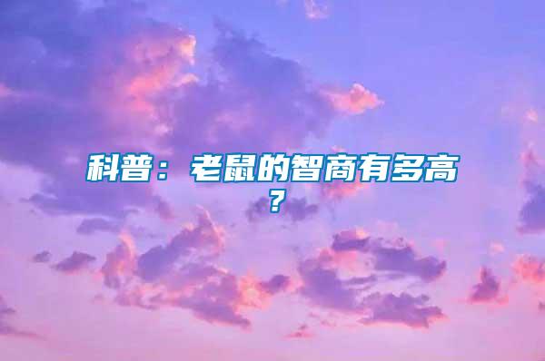 科普：老鼠的智商有多高？