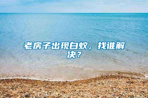 老房子出現(xiàn)白蟻，找誰解決？