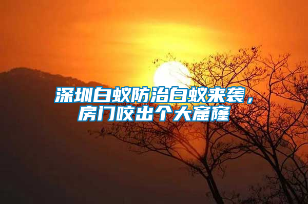 深圳白蟻防治白蟻來襲，房門咬出個大窟窿