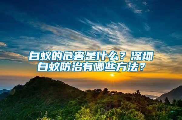 白蟻的危害是什么？深圳白蟻防治有哪些方法？