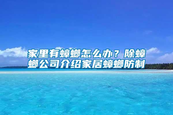 家里有蟑螂怎么辦？除蟑螂公司介紹家居蟑螂防制