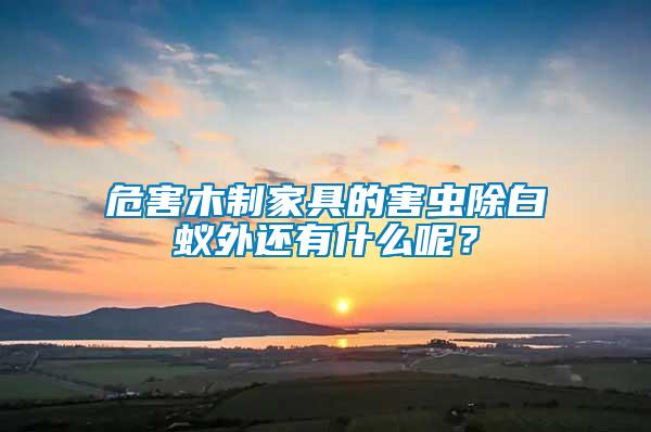 危害木制家具的害蟲除白蟻外還有什么呢？