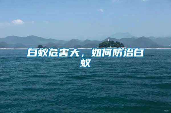 白蟻危害大，如何防治白蟻