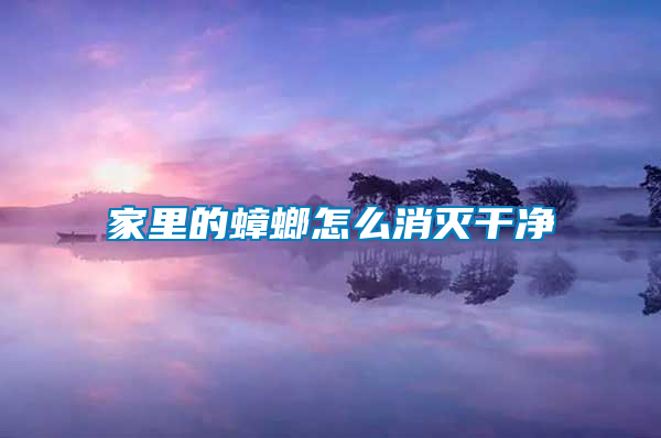 家里的蟑螂怎么消滅干凈