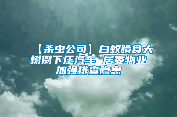 【殺蟲公司】白蟻啃食大樹倒下壓汽車 居委物業(yè)加強(qiáng)排查隱患