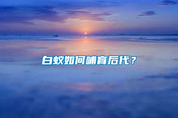 白蟻如何哺育后代？